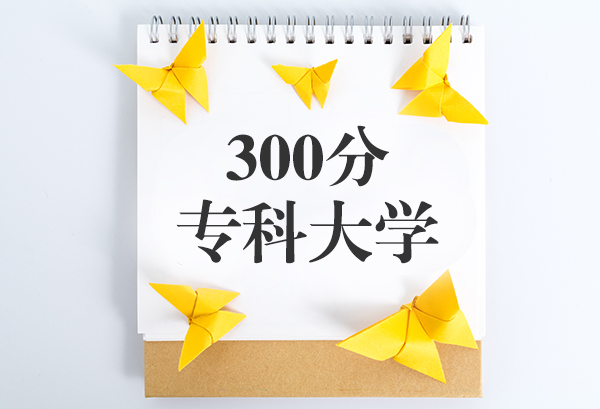 300分专科大学