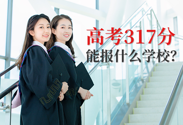 河北高考317分能报什么学校