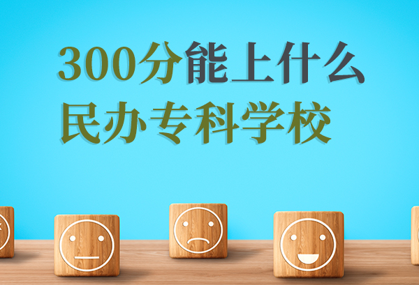 300分能上什么民办专科学校2022