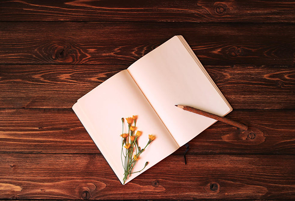 预科招生学校有哪些大学 预科招生学校有哪些大学