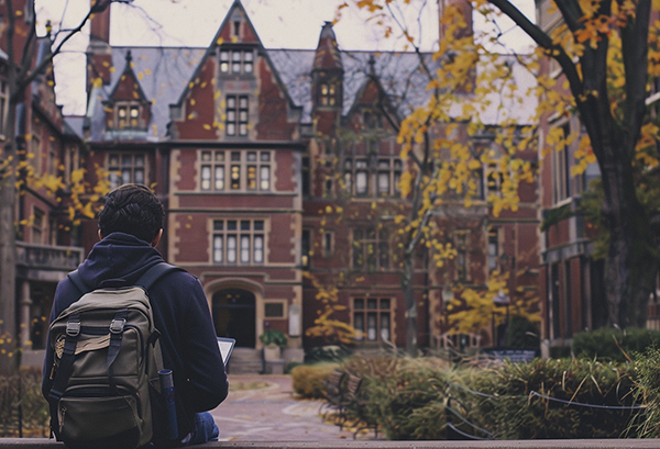 东莞市多少分可以上大学