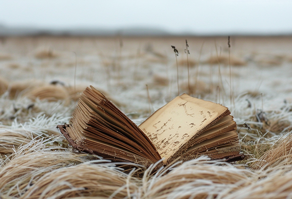 江西单招的公办学校有哪些专业可选 江西单招的公办学校有哪些专业可选