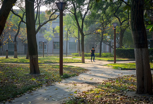 心理学专业未来就业前景